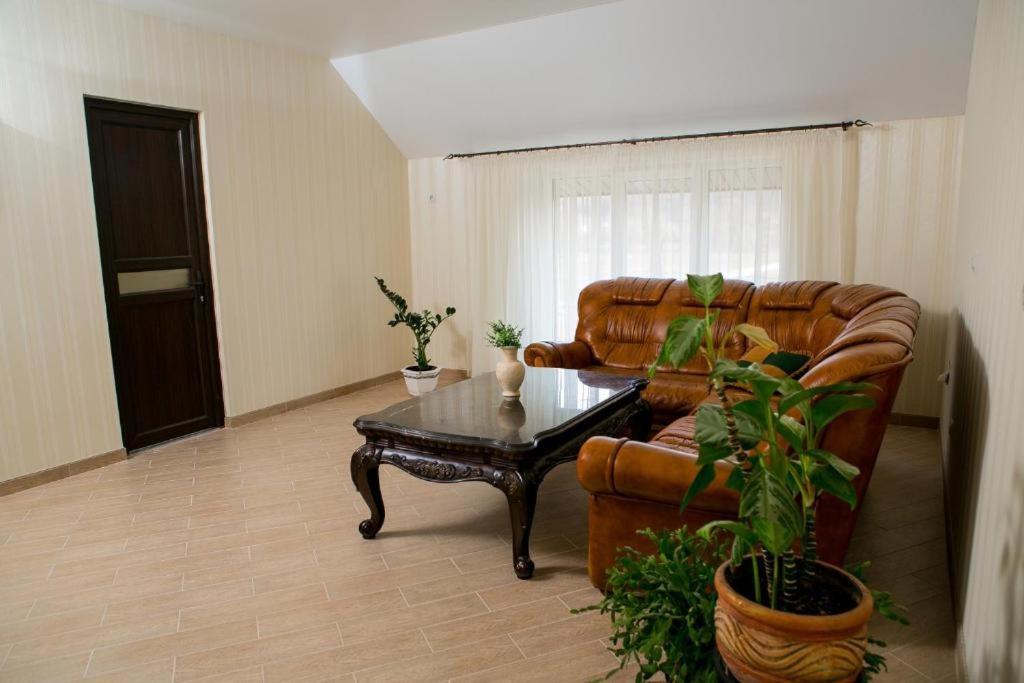 Illara Spa Hotel Irshava Exteriér fotografie