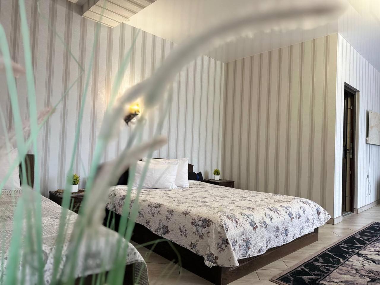 Illara Spa Hotel Irshava Exteriér fotografie
